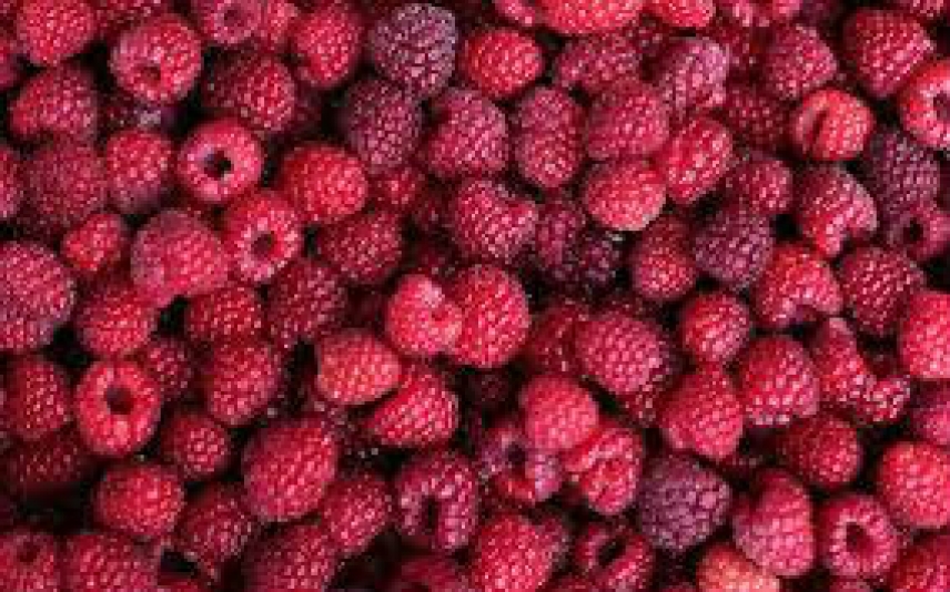 Como influye la alimentacion en el ciclo menstrual