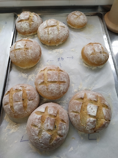 Pan de Calidad