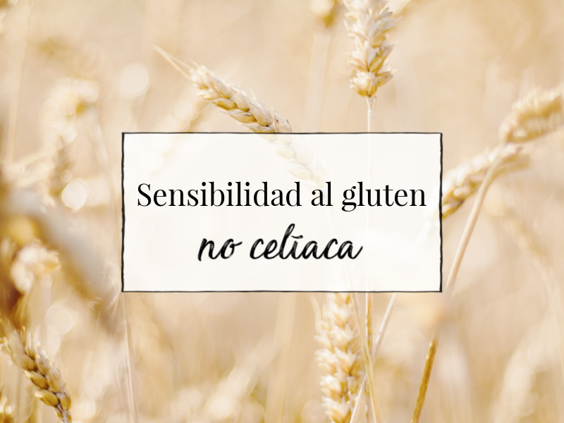Sensibilidad al Gluten No Celiaca